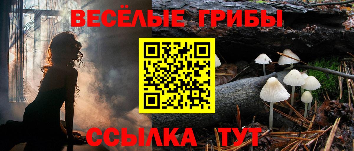 Каннабис  Гашиш  Экстази  МЕФ   A-PVP СК   Вход с VPN  Кузнецк  КОКАИН 